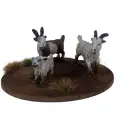 Photo of A Tribe of Goats (6 models) (DMH659)