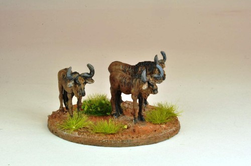 Gnu/ Wildebeest