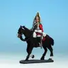Photo of Royal Household Life Guard Trooper A (RK003)