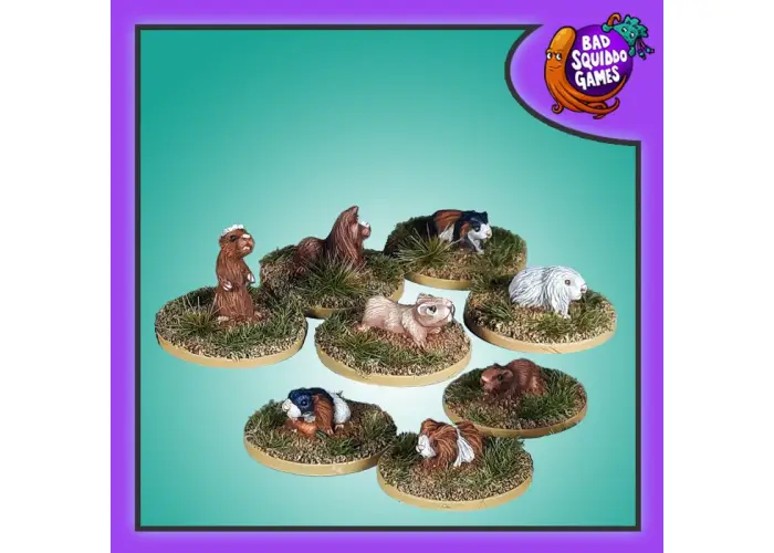 Guinea Pigs pack 2