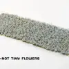 Photo of Forget-me-not Tiny Flowers (GGFS-FMN)
