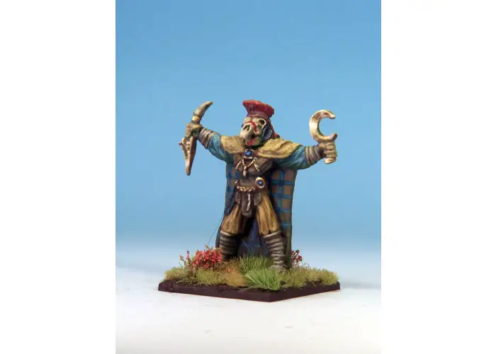 Celtic Druid